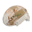 copri elmetto fast emerson marpat desert aor1 em8825c 6048a8e968